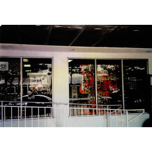 calligraphy brush stroke art 39 c View of Ryu and Dragon gallery through the glass