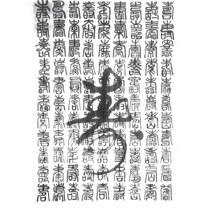 calligraphy brush stroke art 69 Shou: Longevity in hundred ancient different ways(types), we call them :Zhuan.