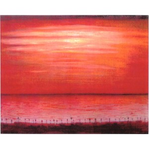 splendor-a31 Beautiful sunset of coast
